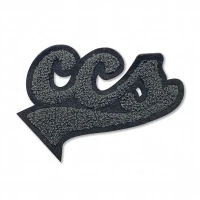 Embroidery Chenille Iron ar glytiau